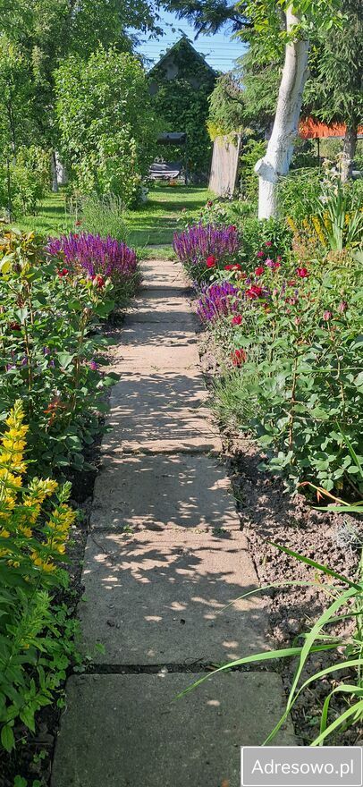 Działka rod Tarnów. Zdjęcie 8