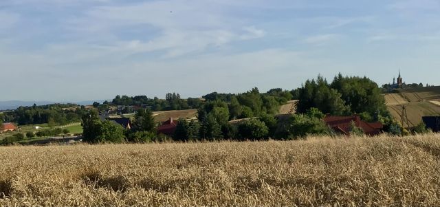 Działka budowlana Cianowice Pod Skałkami, ul. Słoneczna. Zdjęcie 8