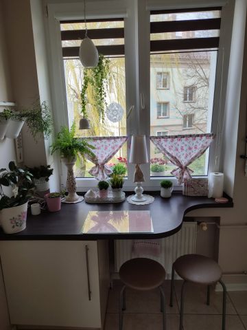 Łowicz Górki, os. Kostka Mieszkanie - 2 pokoje - 46 m² - 1 piętro