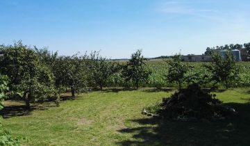 Działka siedliskowa Mochle