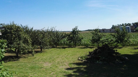Działka siedliskowa Mochle