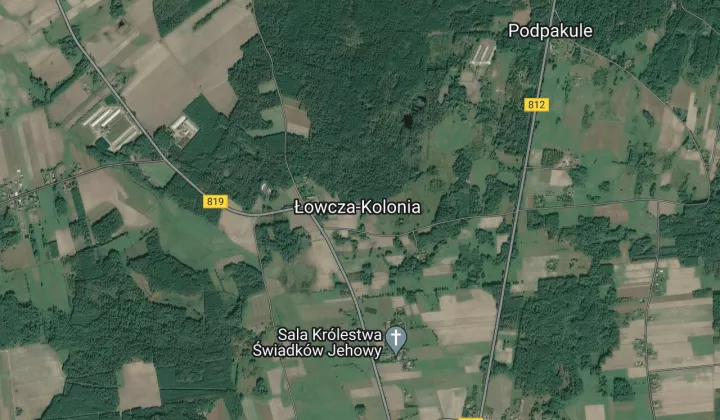 Działka leśna Łowcza-Kolonia