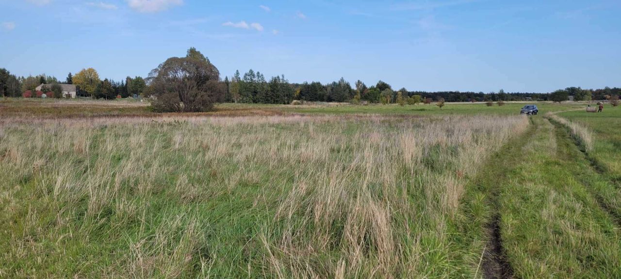 Działka budowlana Rębiszów. Zdjęcie 4