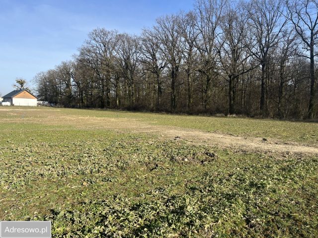 Działka budowlana Przecław, ul. Leśna. Zdjęcie 1
