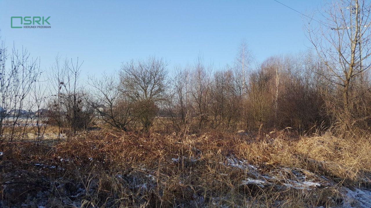 Działka Brzeszcze, Lesisko. Zdjęcie 2