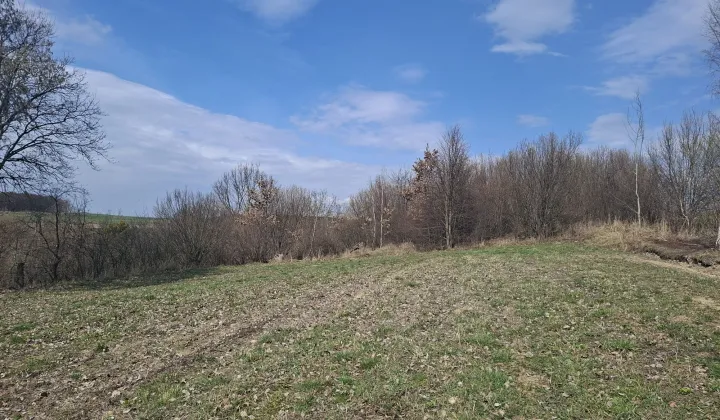 Działka rolna Wojsławice