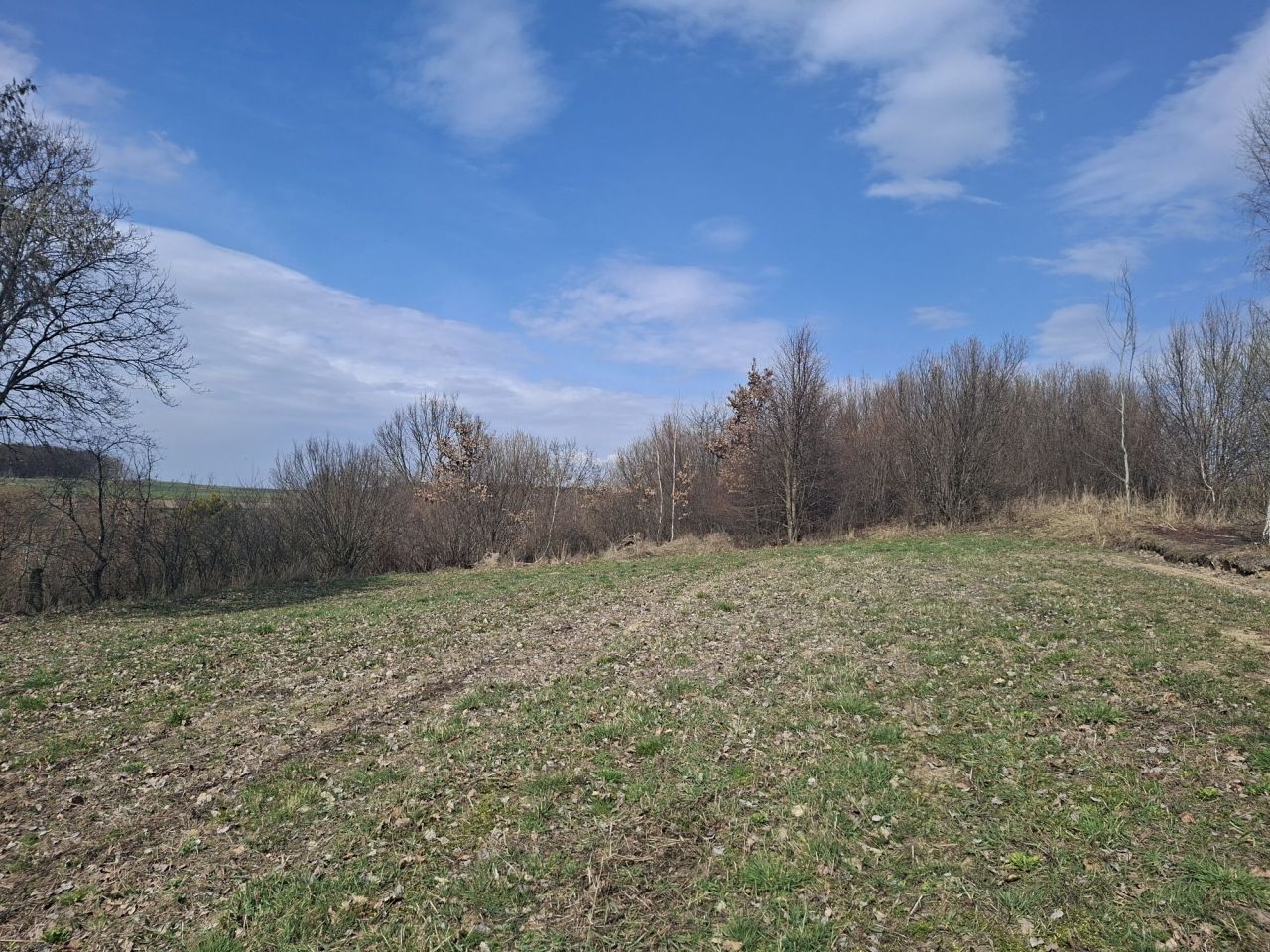 Działka rolna Wojsławice. Zdjęcie 1