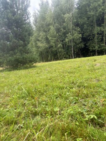 Działka rekreacyjna Popowice. Zdjęcie 1