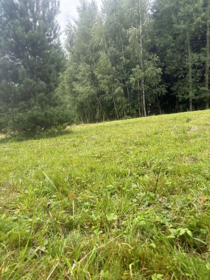 Działka rekreacyjna Popowice. Zdjęcie 1