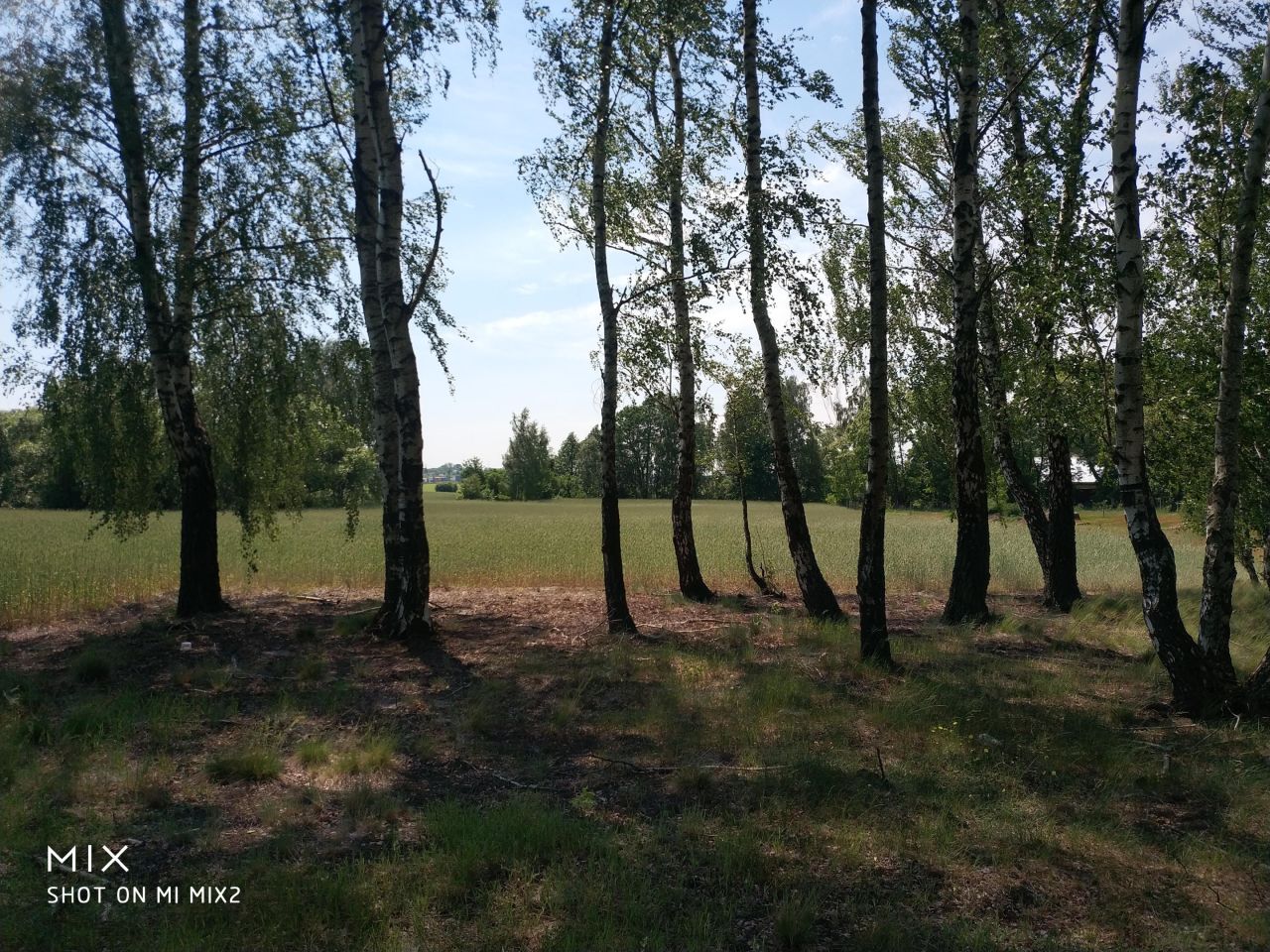 Działka siedliskowa Smolice, Smolice. Zdjęcie 7