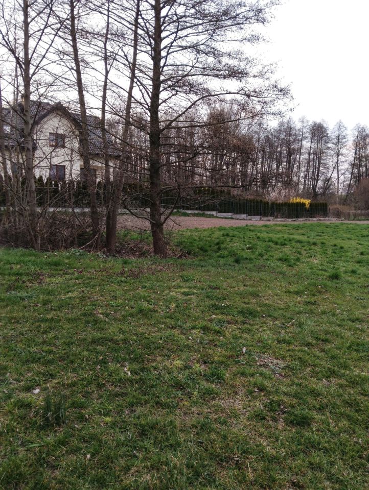 Działka rolna Byczki. Zdjęcie 2