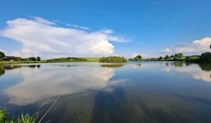 Działka siedliskowa Rogów