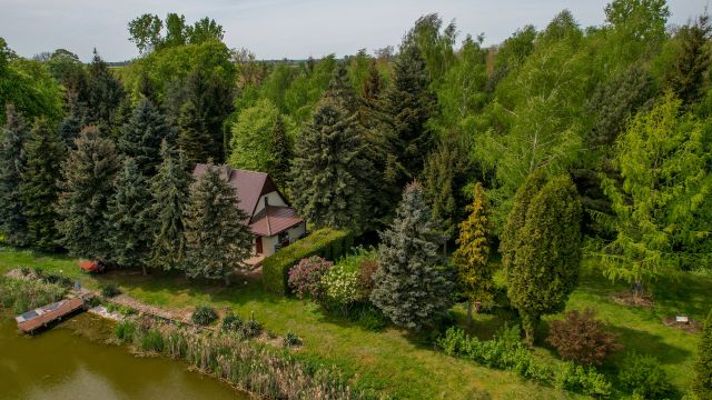 Działka rekreacyjna Siemianów. Zdjęcie 4