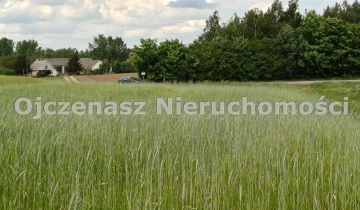 Działka rolna Sitno