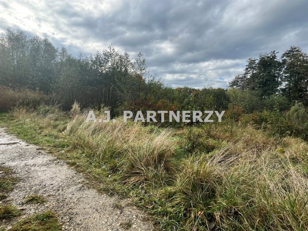 Działka inwestycyjna Rożnowa. Zdjęcie 3