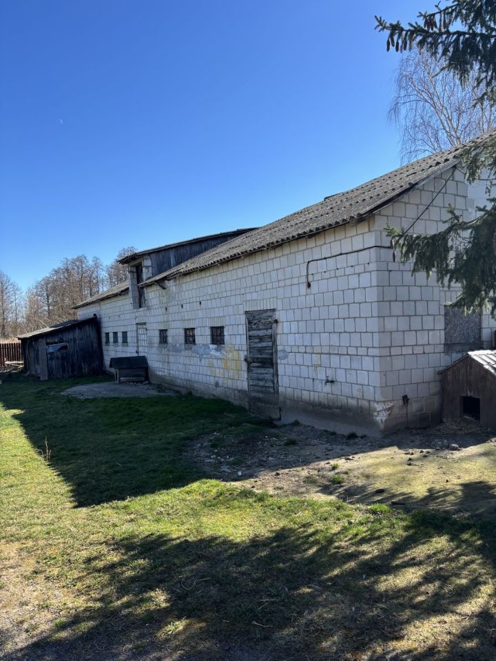 siedlisko Gościejewo. Zdjęcie 7