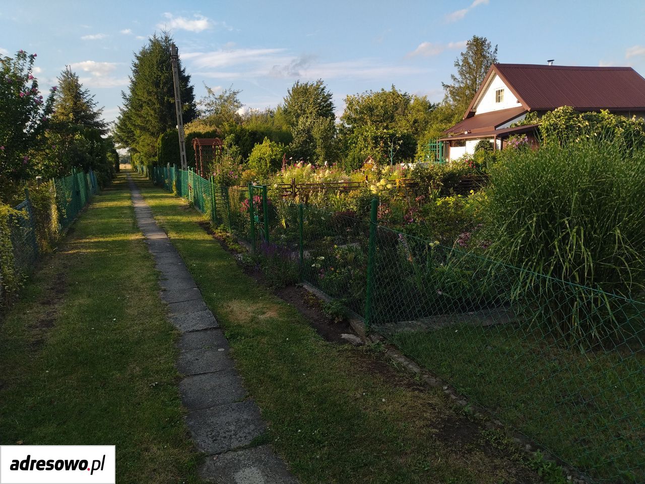 Działka rod Kraków Ruszcza. Zdjęcie 5