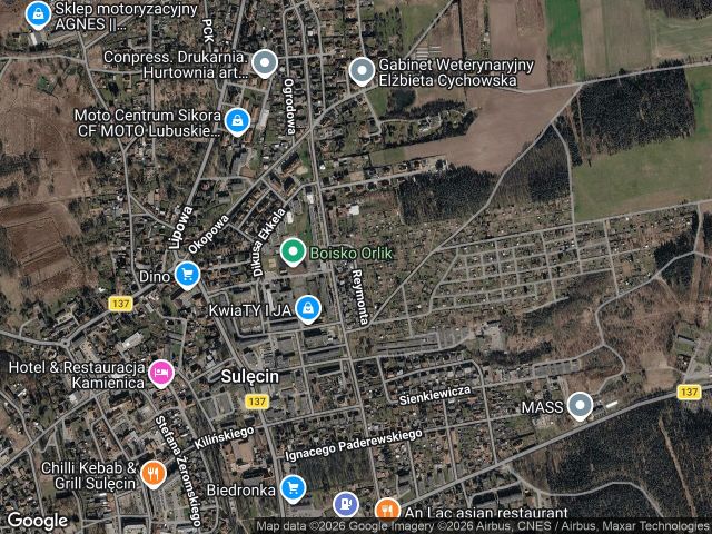 Działka rod Sulęcin, ul. Władysława Reymonta. Zdjęcie 1