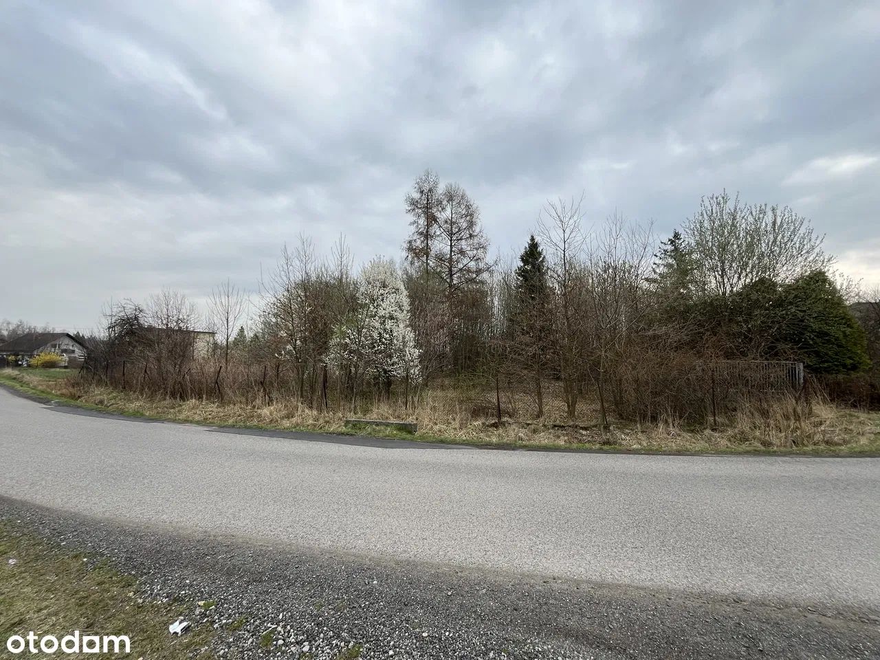 Działka budowlana Czaniec Zagłębocze, ul. Zagłębocze. Zdjęcie 2