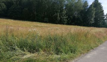 Działka budowlana Dzikowiec