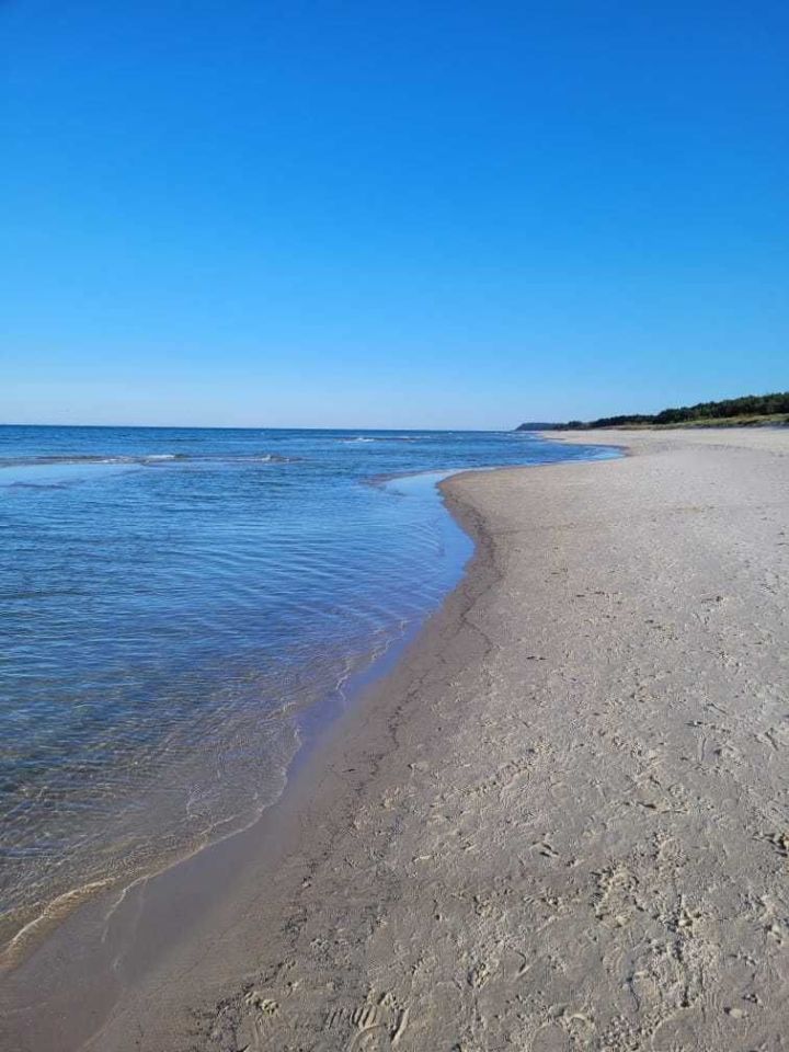 Działka rolna Karwieńskie Błoto Pierwsze. Zdjęcie 6
