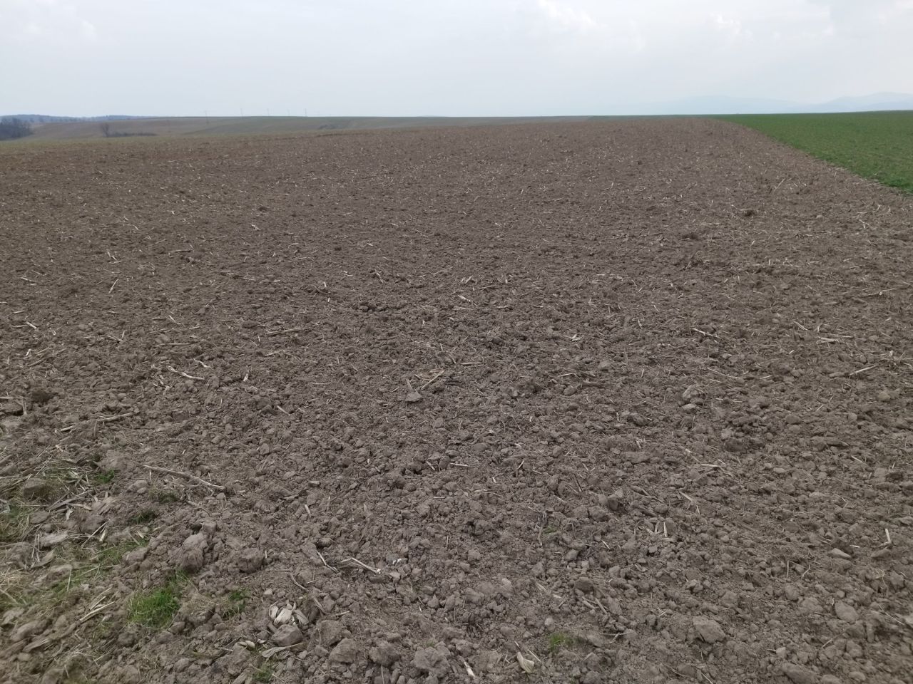 gospodarstwo Niedźwiednik. Zdjęcie 3