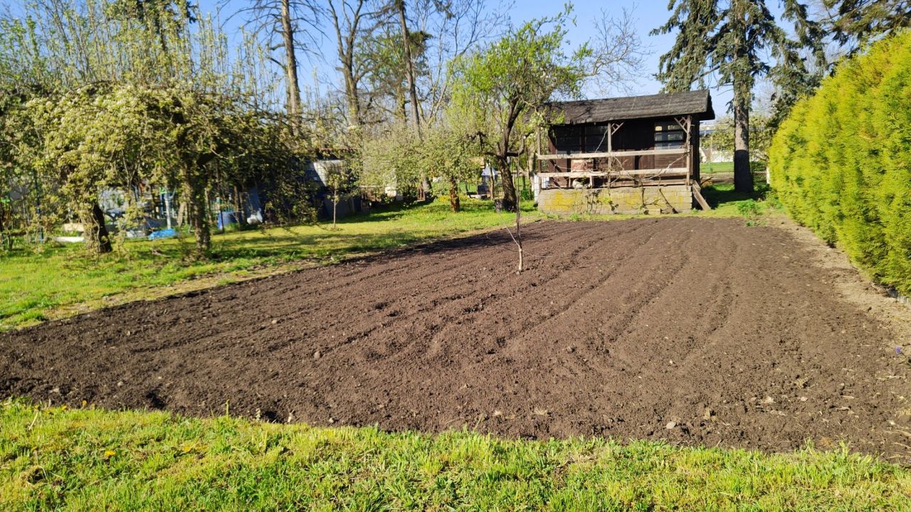 Działka rod Gostyń. Zdjęcie 4