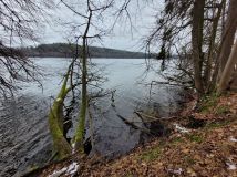 Działka siedliskowa Ublik. Zdjęcie 2