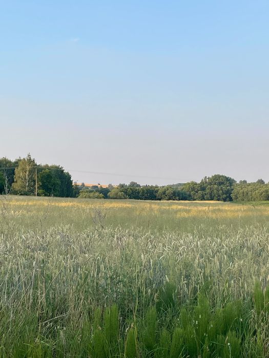 Działka budowlana Łysaków. Zdjęcie 6