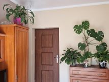 bliźniak, 4 pokoje Słupno Nowe Słupno, ul. Jesionowa. Zdjęcie 4