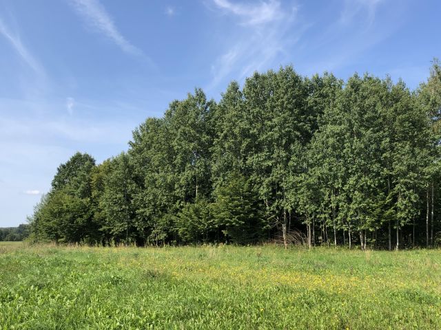 Działka siedliskowa Nowa Dębszczyzna Jemielistka Linia. Zdjęcie 8