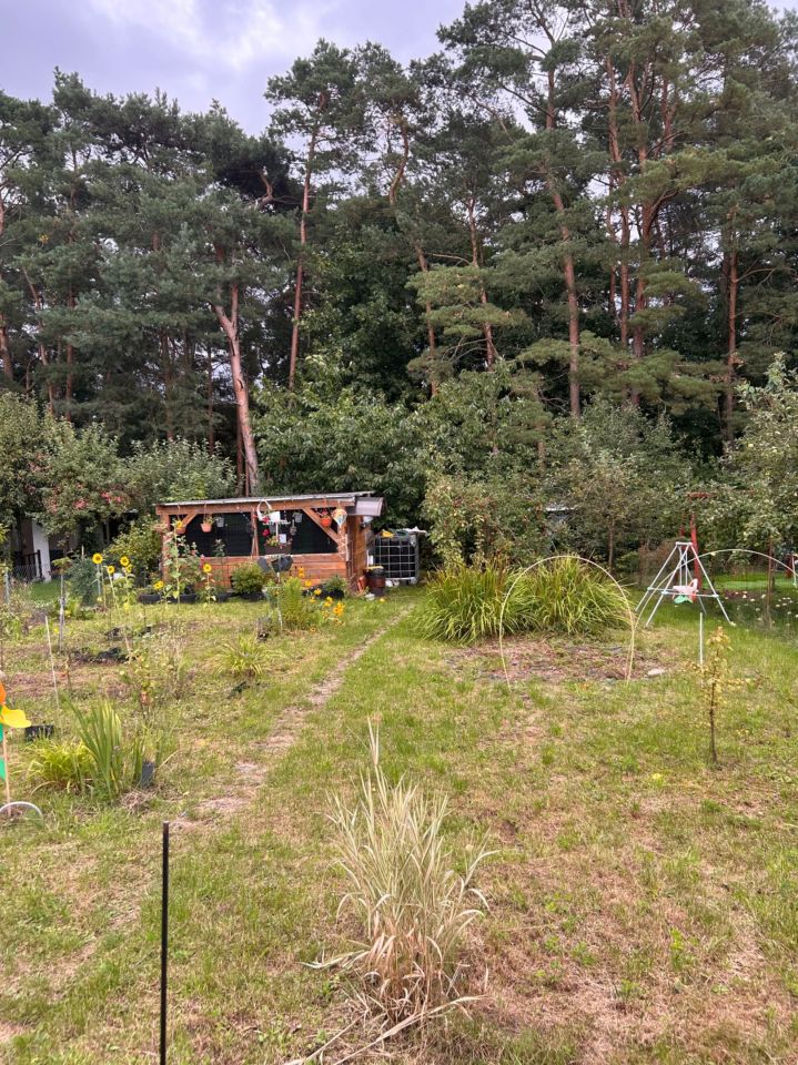 Działka rod Debrzno, ul. Gronowska. Zdjęcie 4
