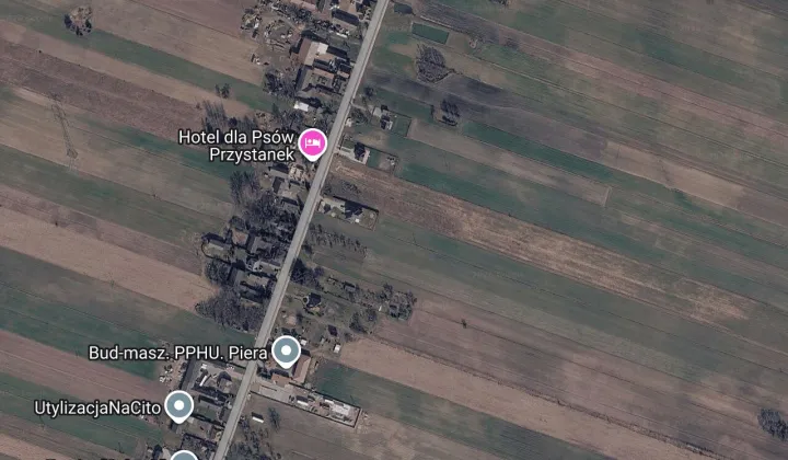 Działka rolna Pałczew