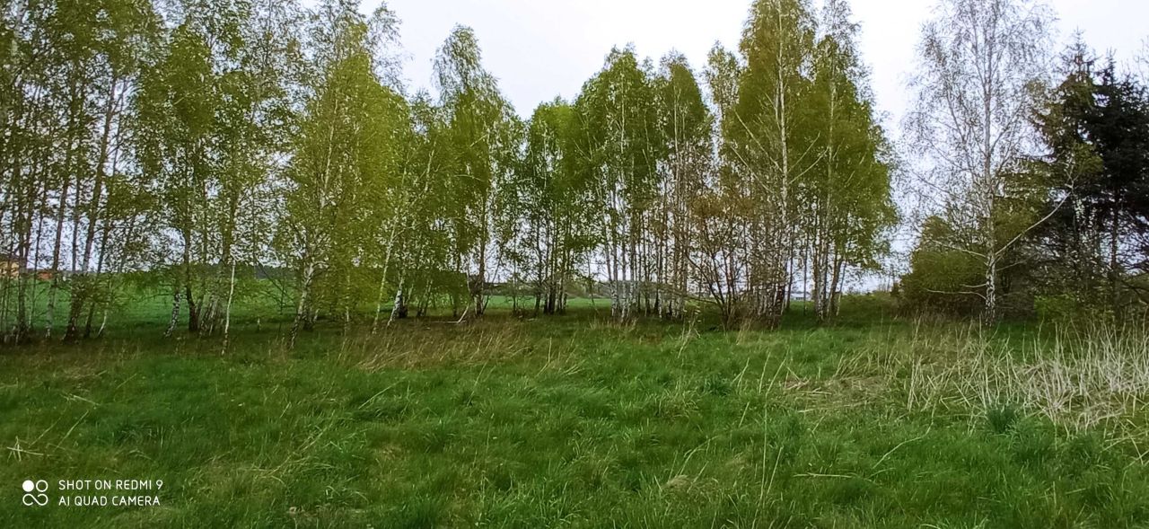 Działka budowlana Dąbrówka. Zdjęcie 3