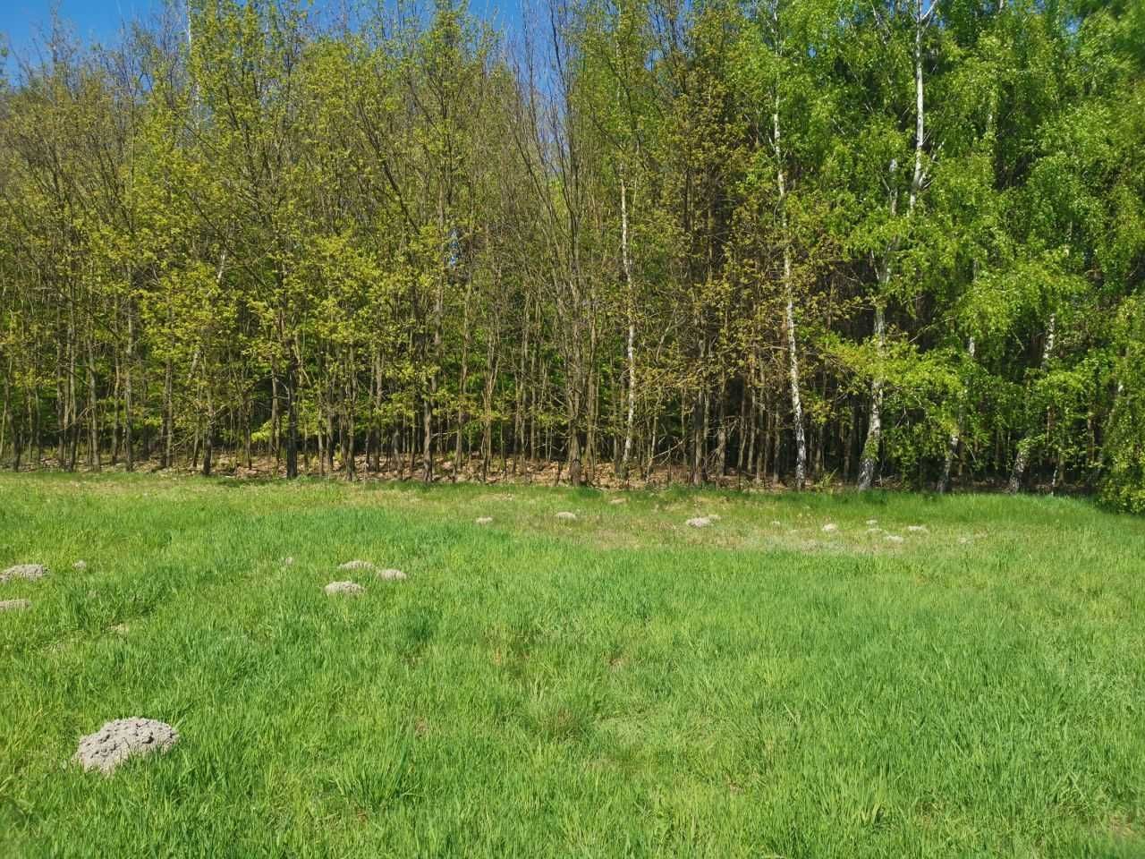 Działka rekreacyjna Wola Korybutowa Druga. Zdjęcie 2