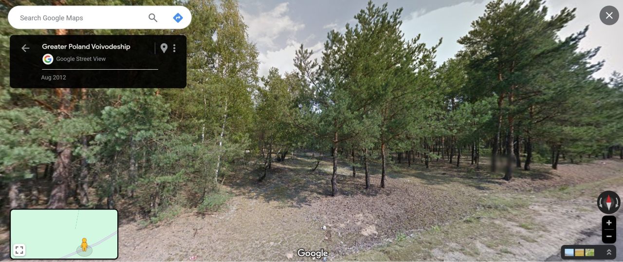 Działka leśna Młyniska. Zdjęcie 6