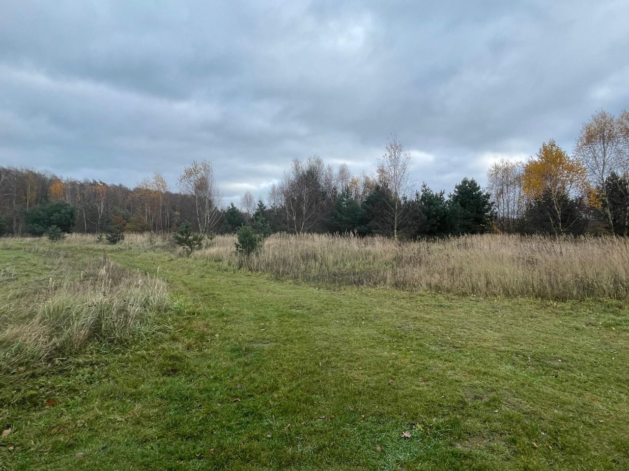 Działka rolna Chomino. Zdjęcie 14