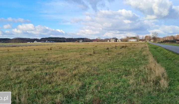 Działka rolna Opiesin