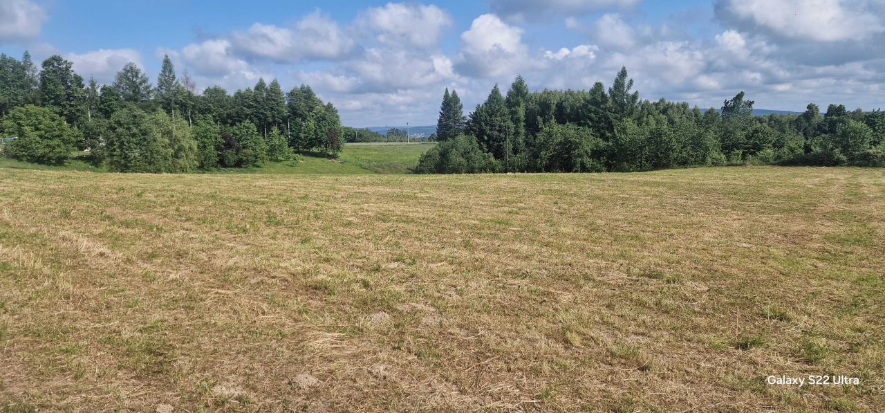 Działka budowlana Wola Łagowska. Zdjęcie 2