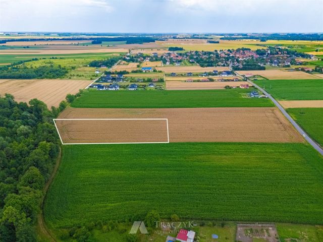 Działka siedliskowa Zachowice. Zdjęcie 16