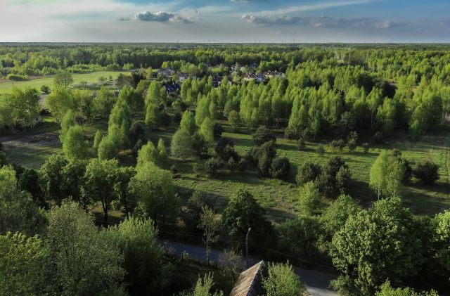 Działka budowlana Michałówek. Zdjęcie 1