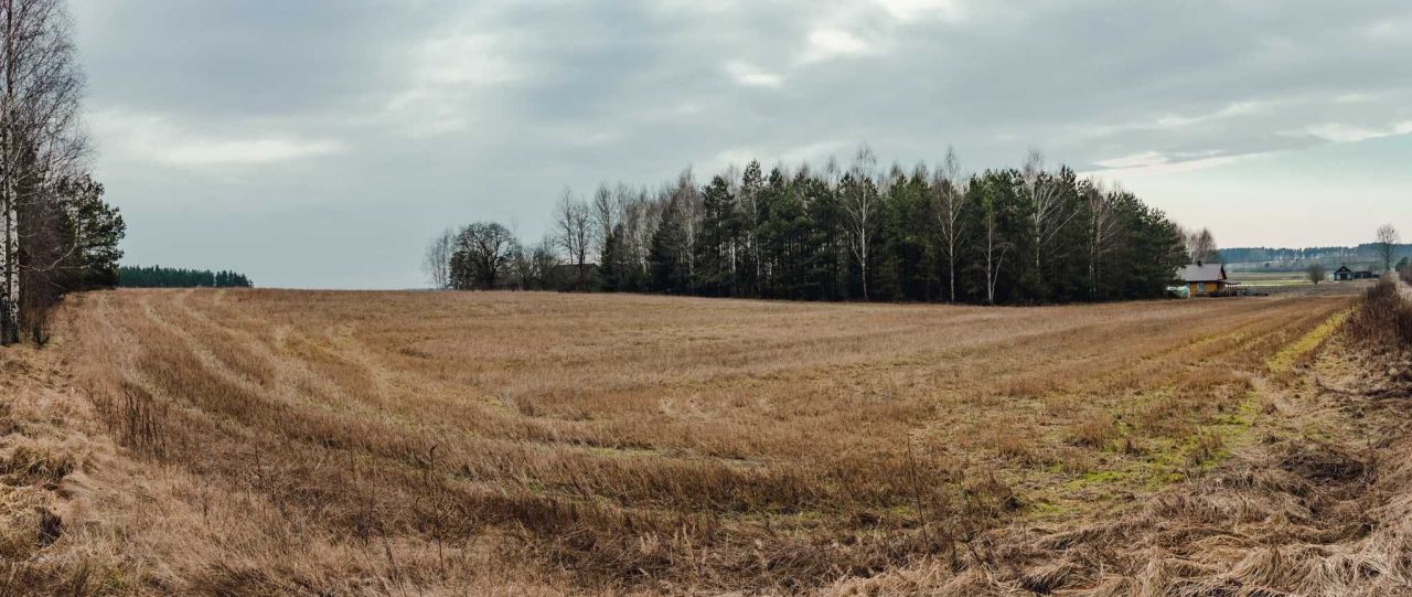 Działka rekreacyjna Wiejki. Zdjęcie 3