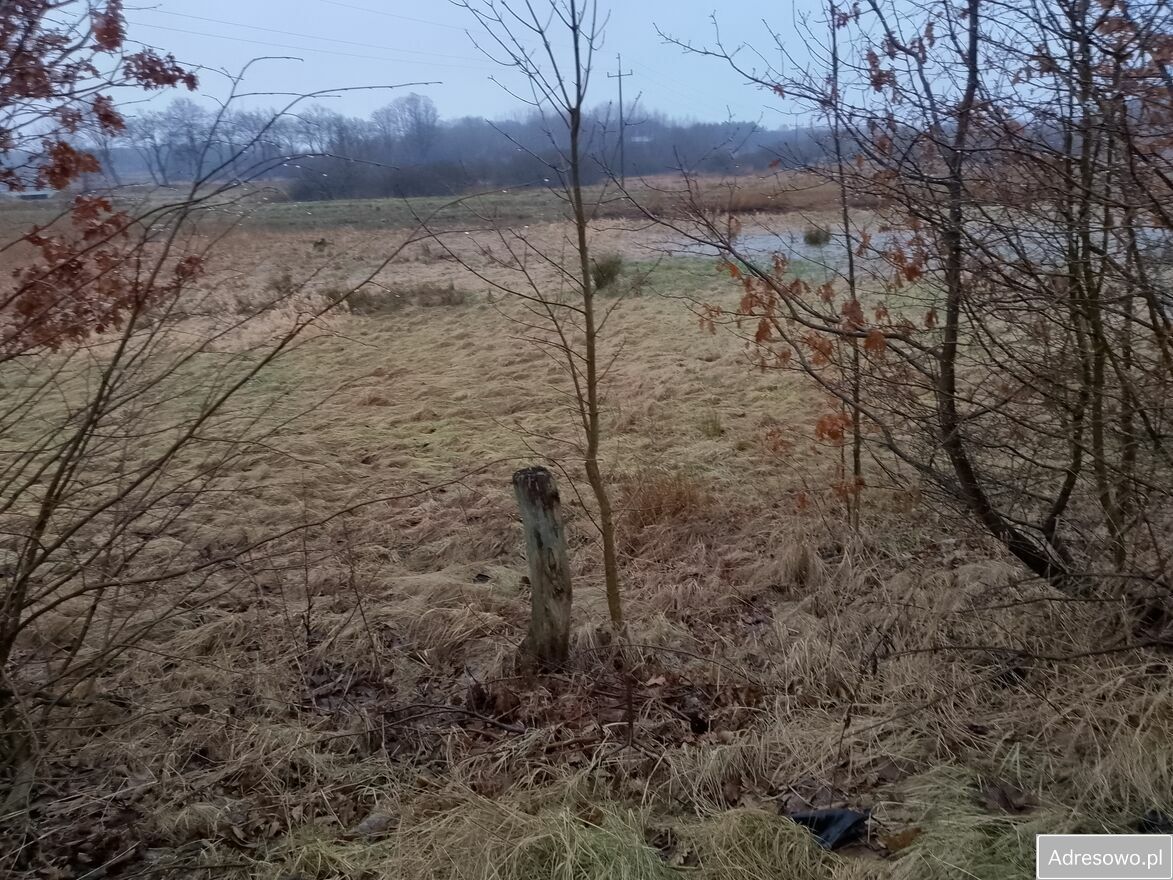 Działka rolna Jeżyczki. Zdjęcie 4