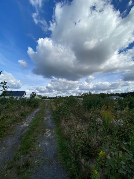 Działka budowlana Adolfin. Zdjęcie 3