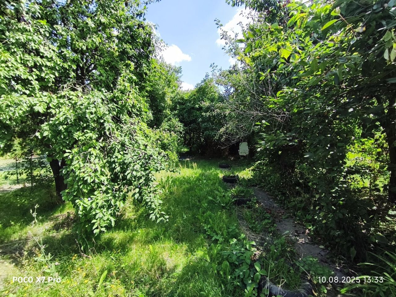 Działka rod Jawor, ul. Piastowska. Zdjęcie 7