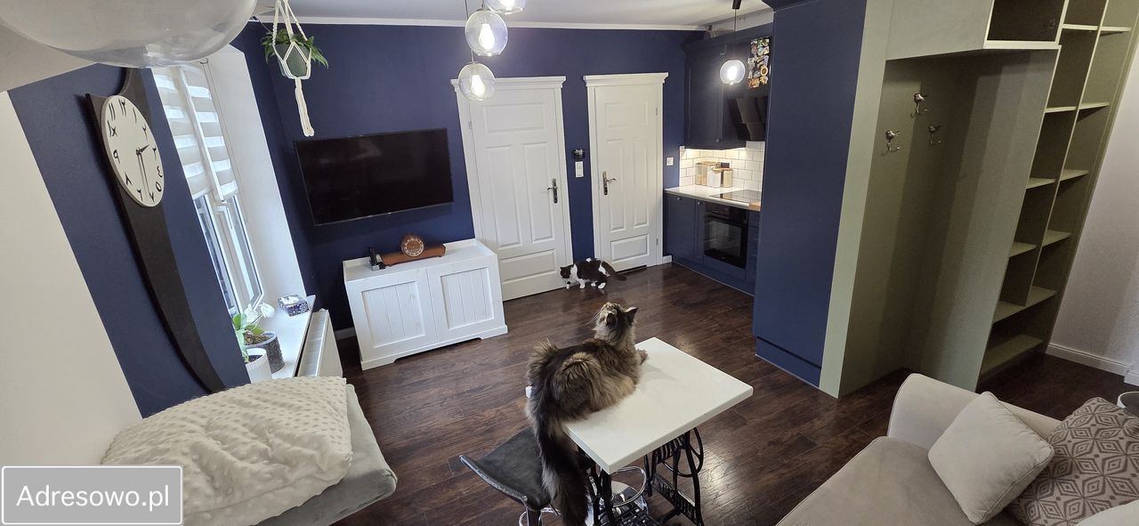 Mieszkanie 2-pokojowe Mikołów. Zdjęcie 12