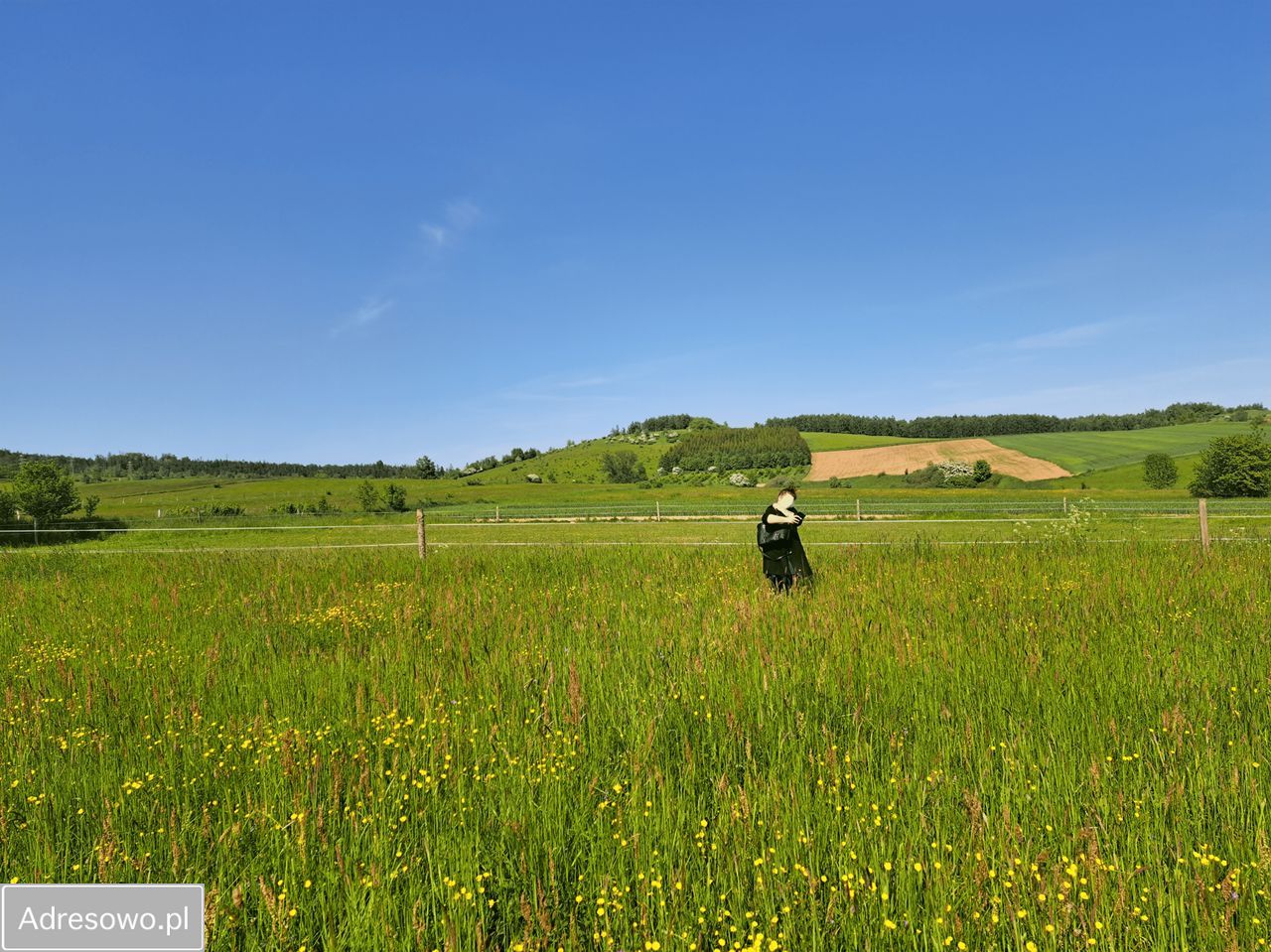 Działka budowlana Wojbórz. Zdjęcie 10