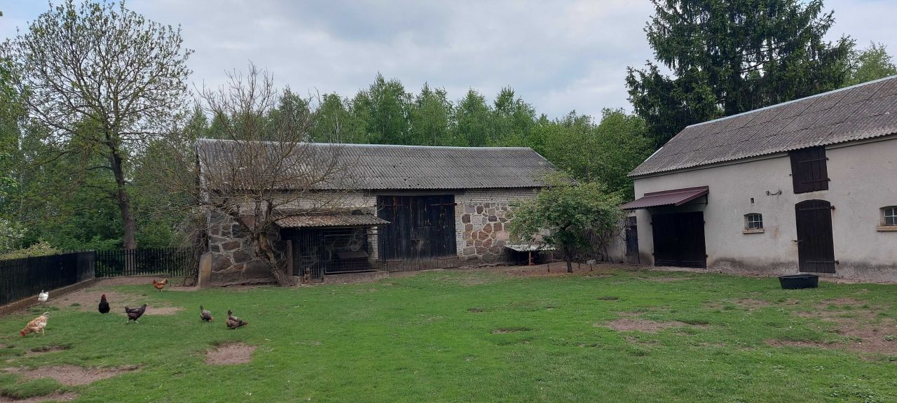 Działka siedliskowa Przerodki. Zdjęcie 7