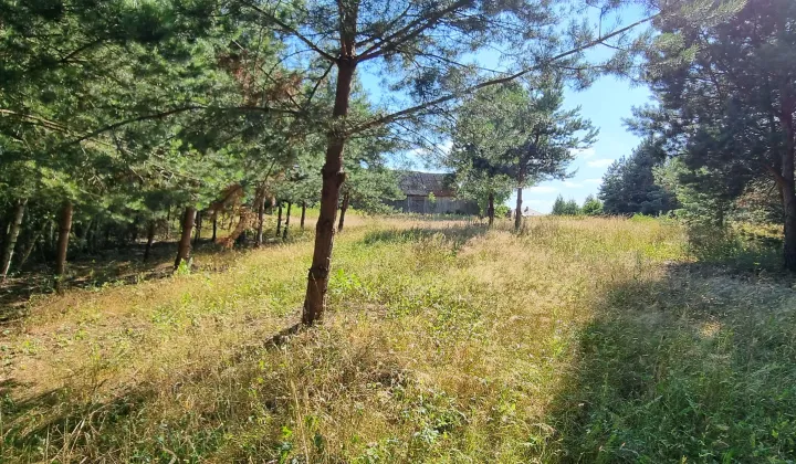 Działka rolna Kowala