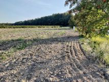 Działka budowlana Krasienin. Zdjęcie 1